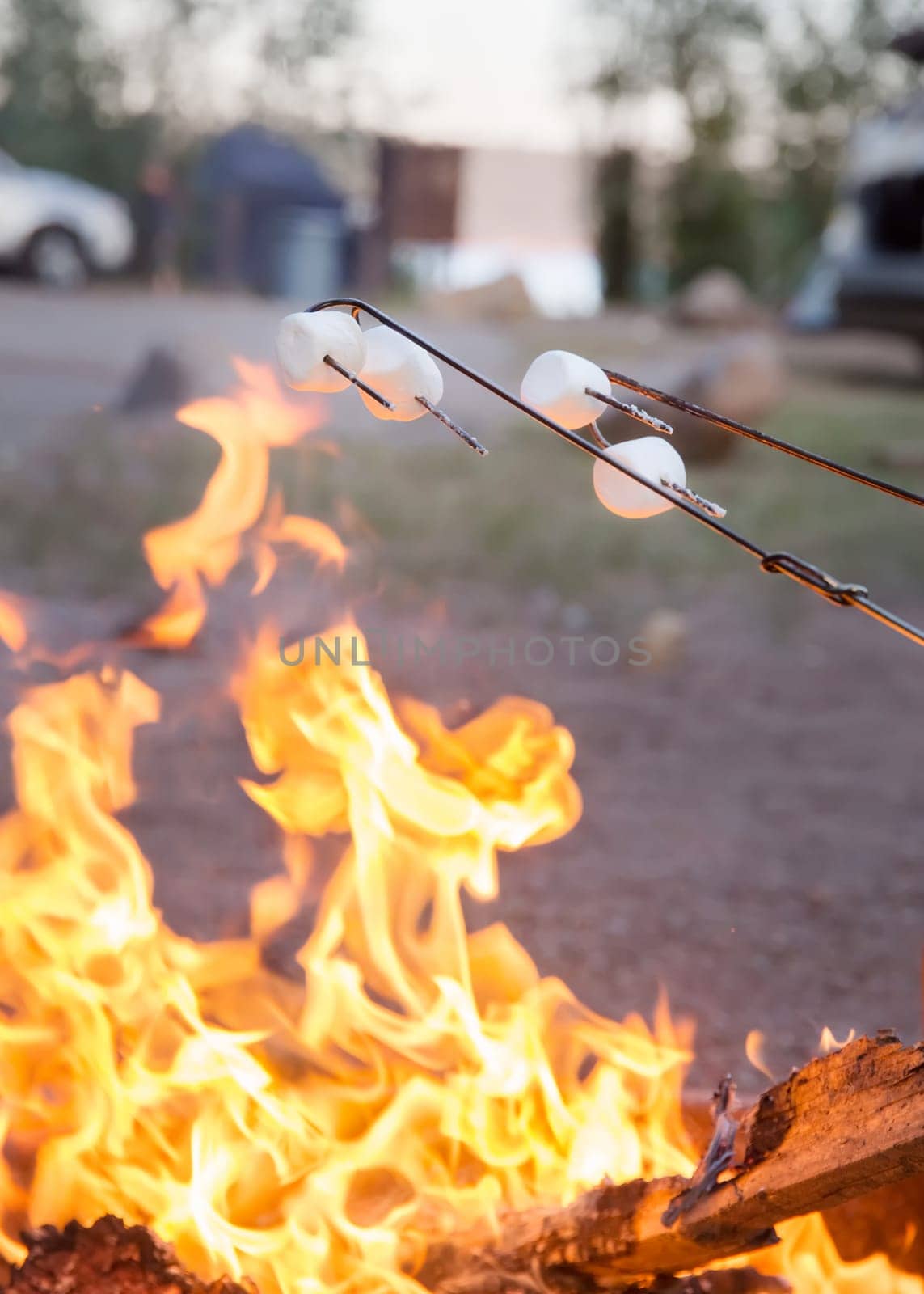Camping food marshmallow