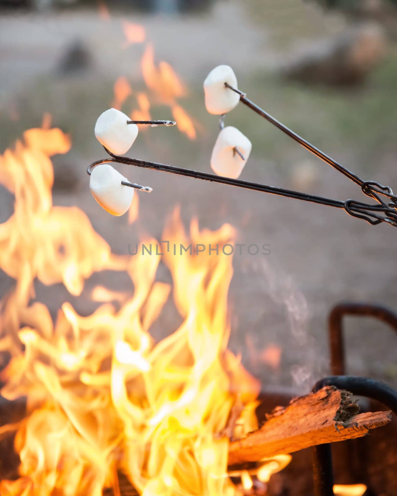 Camping food marshmallow