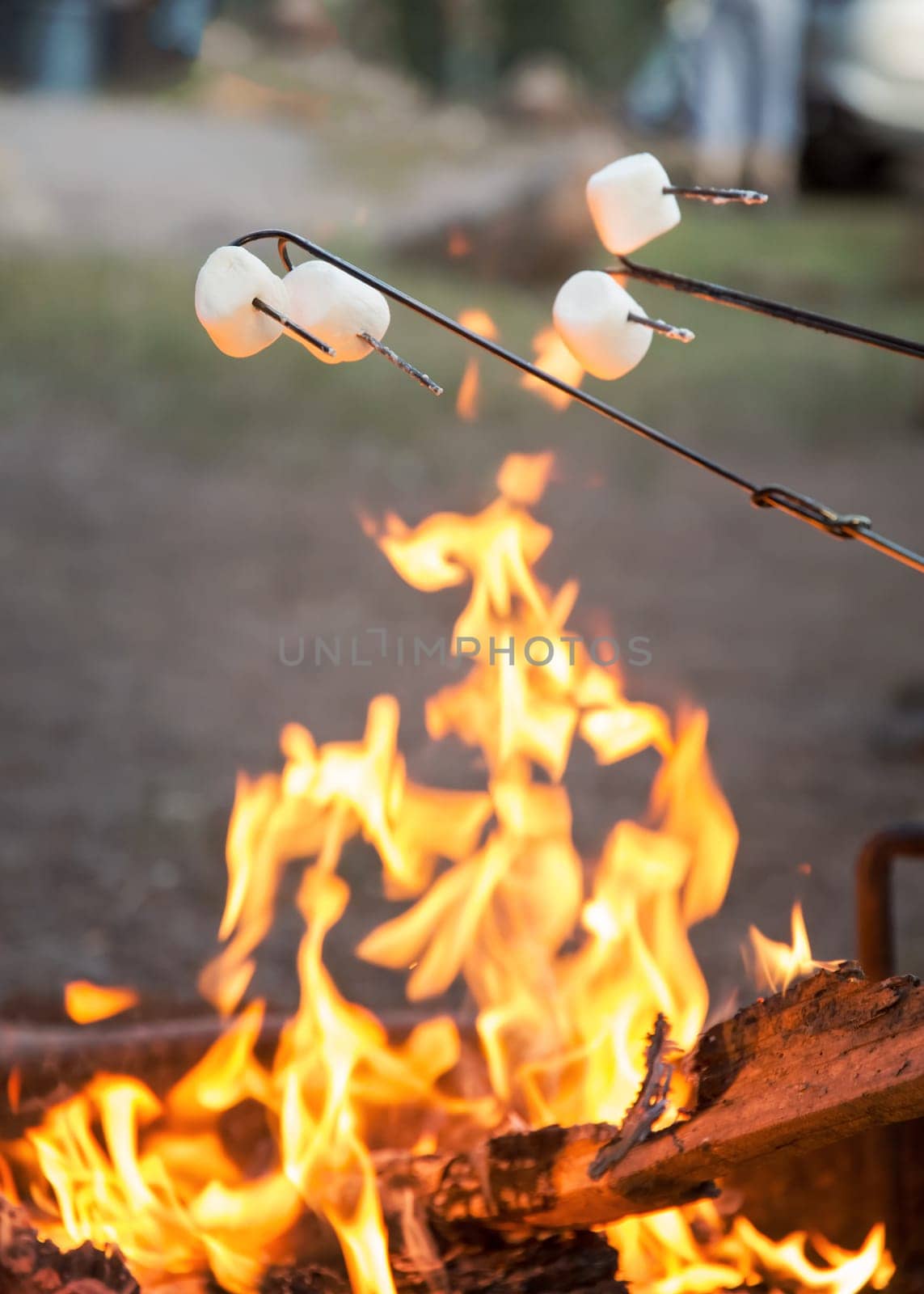 Camping food marshmallow