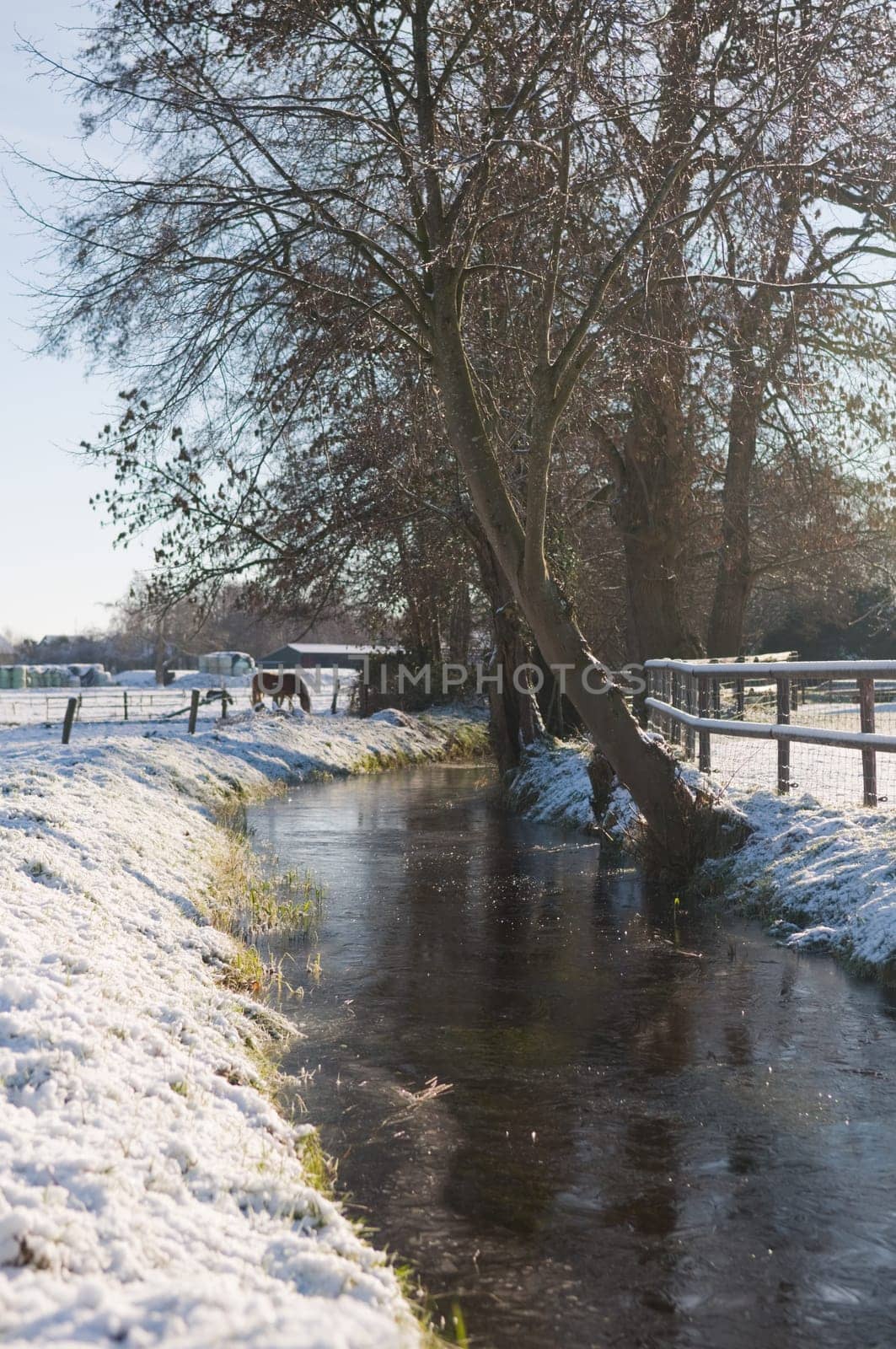 Lovely winter scenic on a cold day