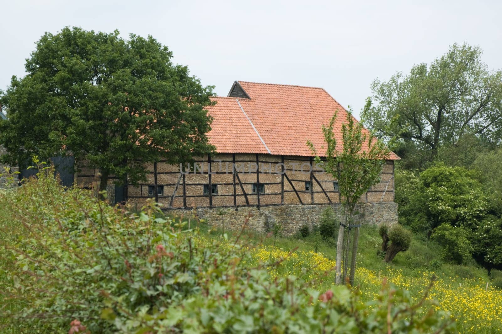 Beautiful old farm in Limburg, Holland