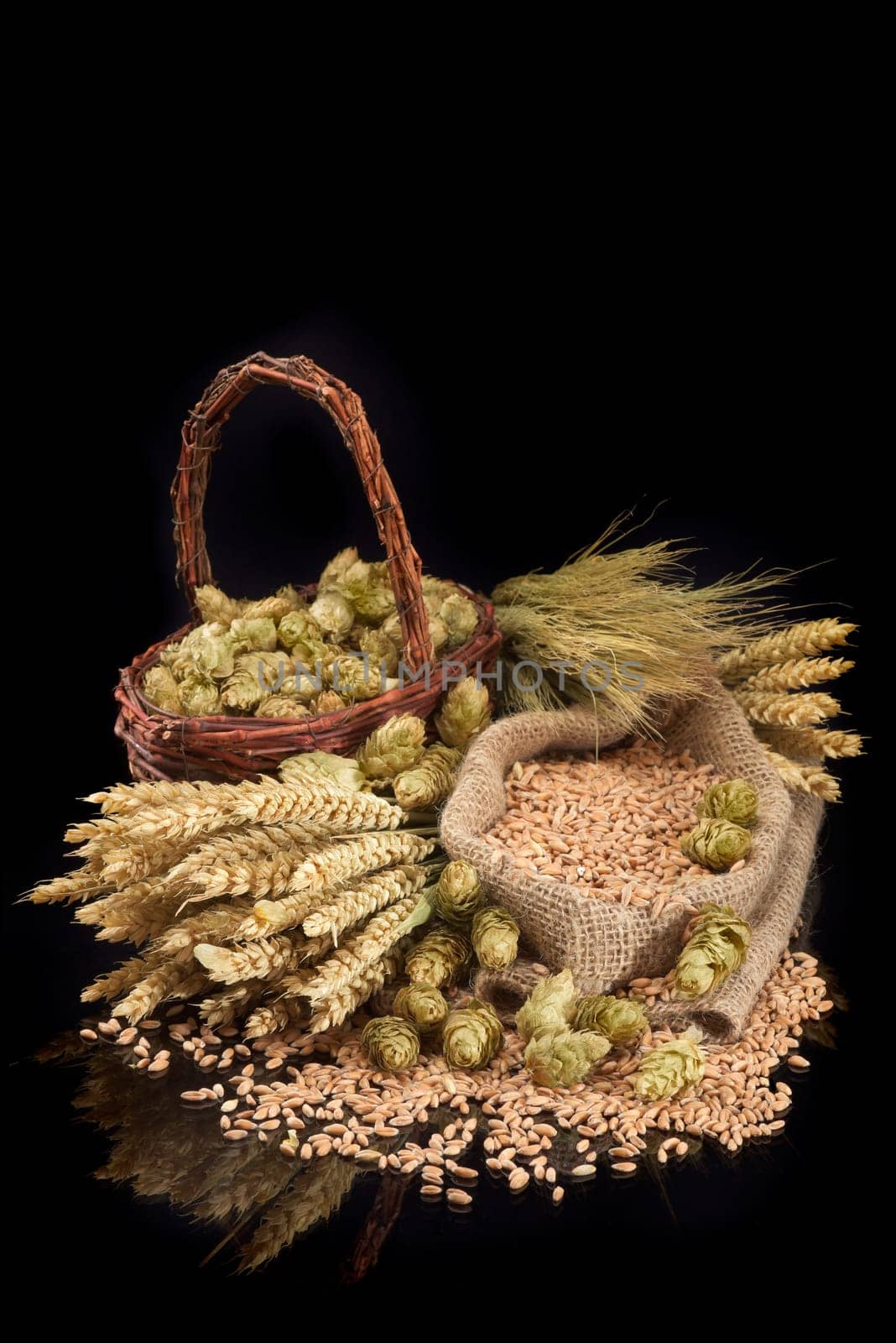 Beer ingredients – wheat,barley,hops and malt insulated on black