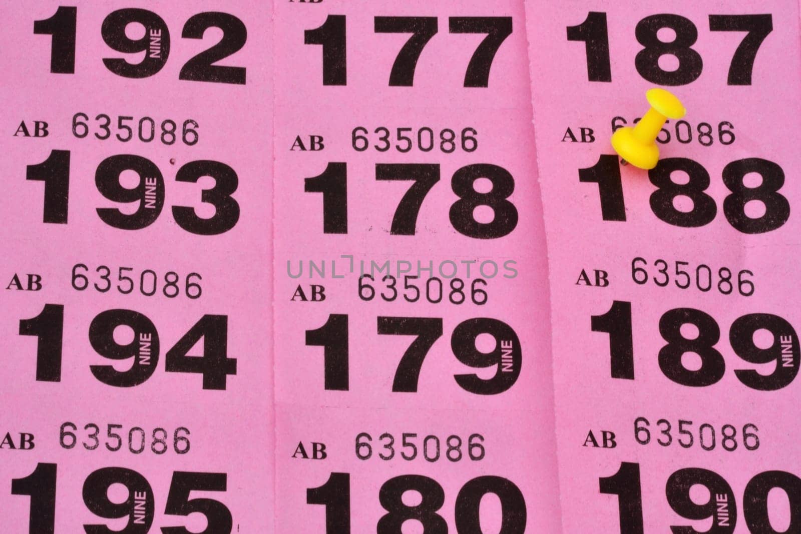 rows of raffle tickets with winner highlighted
