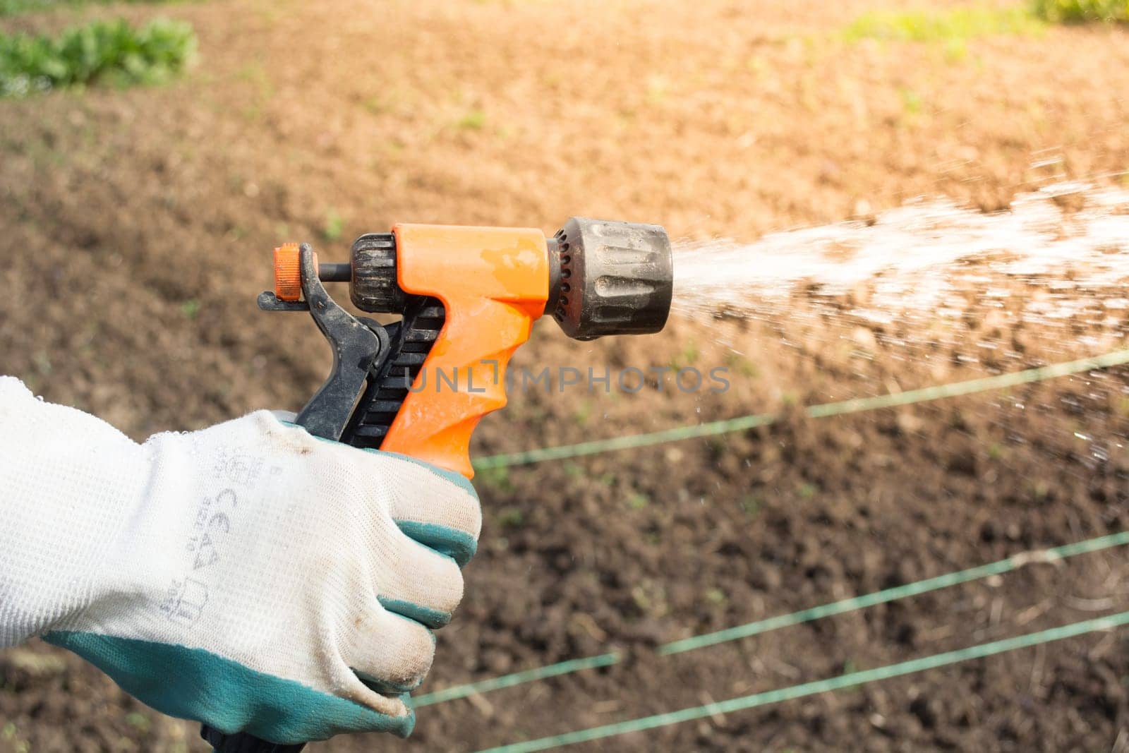 Female hand holding sprinkler. Water is sprayed on the field