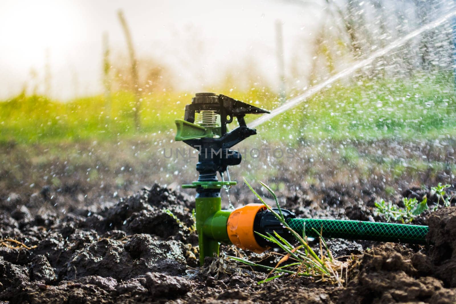 Closeup of sprinkler on the field. Water is sprayed on the field.