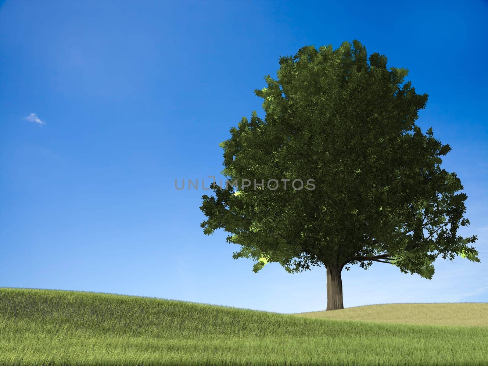 3d rendering of Green grass on a golf field