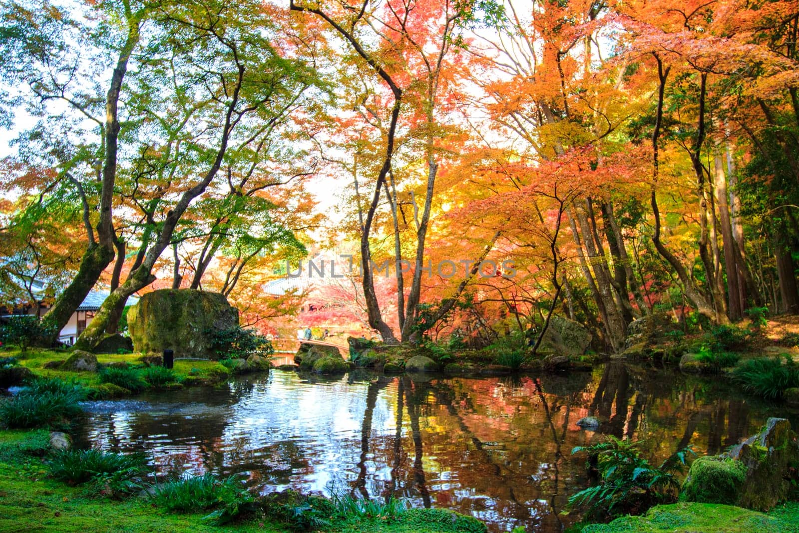 Kyoto, Japan - Nov 24, 2013