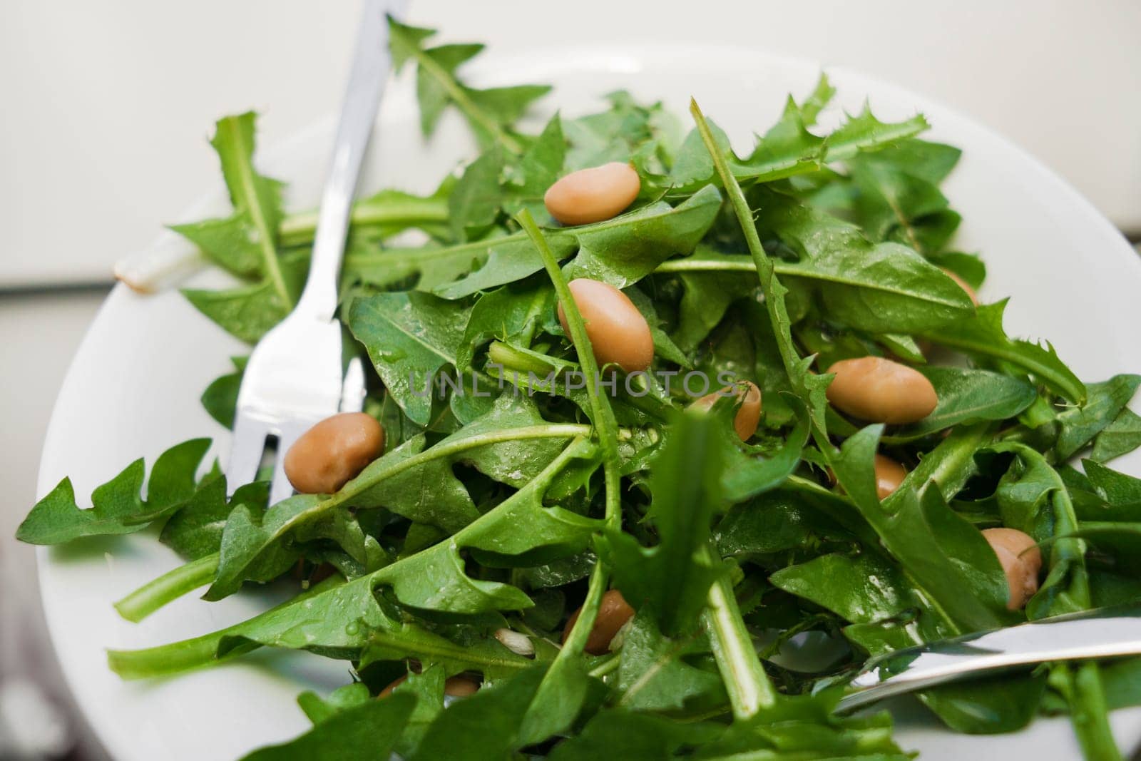 Fresh dandelion salad with brown beans close up