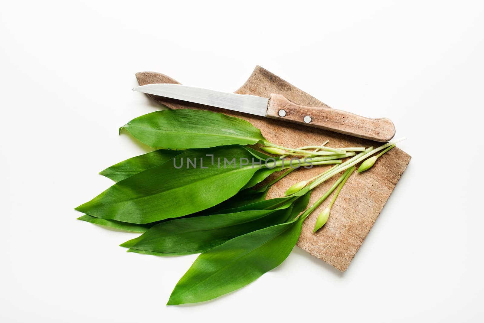 Wild garlic leafs on white background overhead shoot