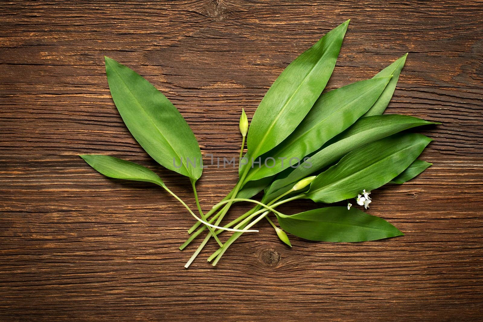 Wild garlic leafs on wooden background overhead shoot