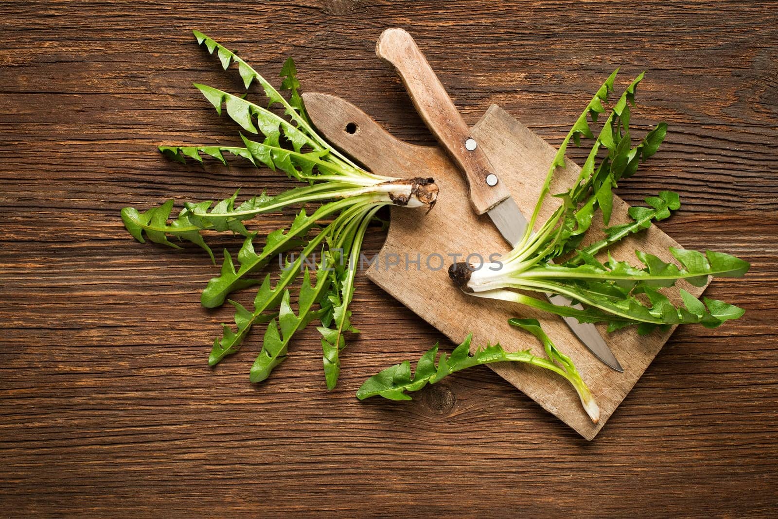 Fresh dandelion on wooden background overhead shoot