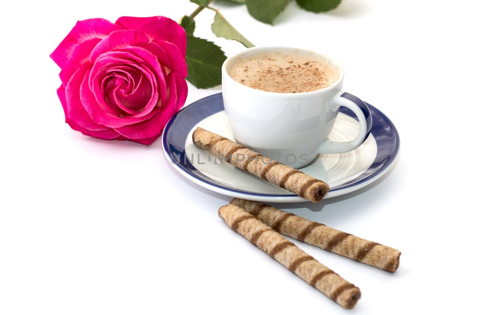 rose and cappuccino on a saucer with a blue border