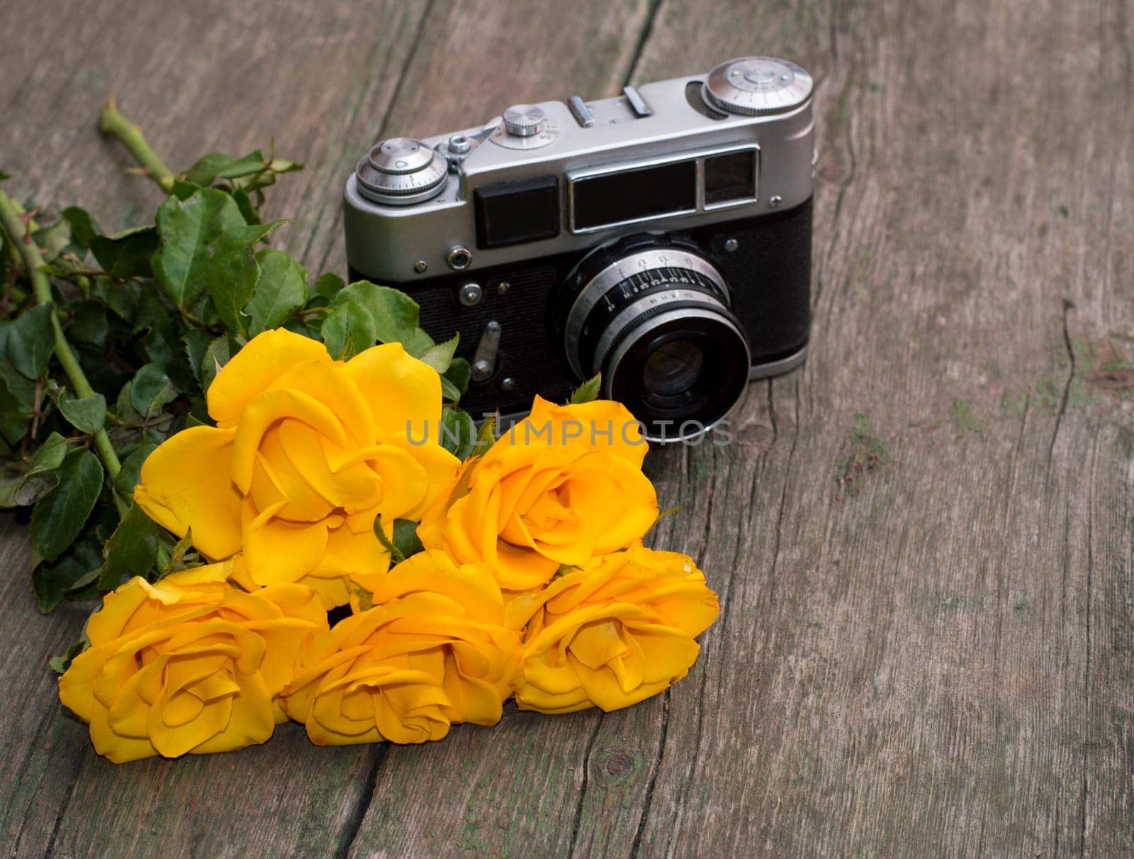 yellow roses and retro the camera behind them on a table