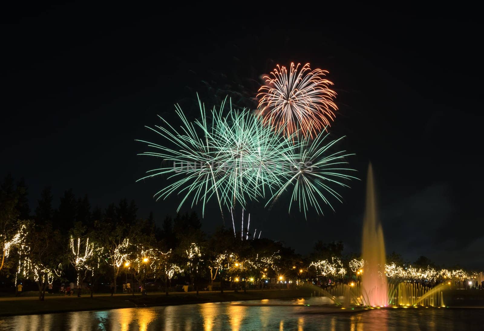 Beautiful night view of fireworks in the park with illuminated fountain