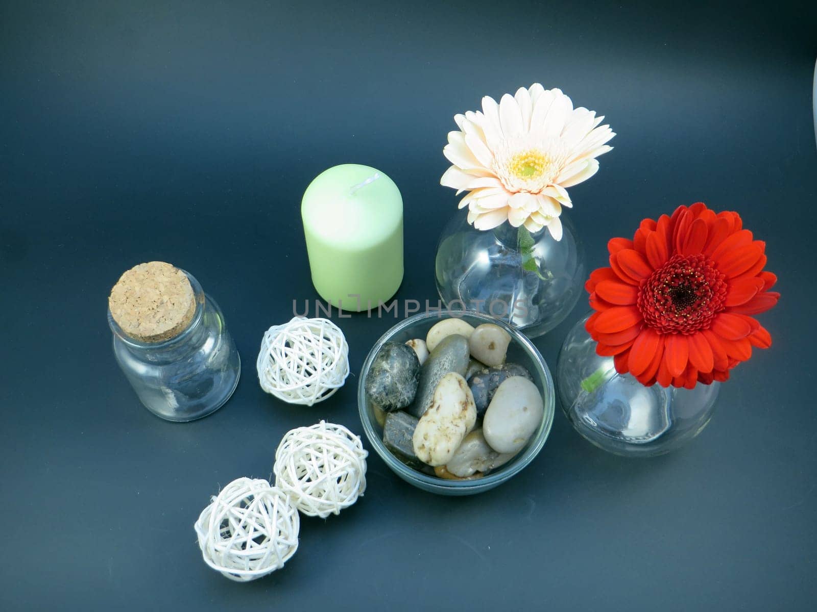wellness