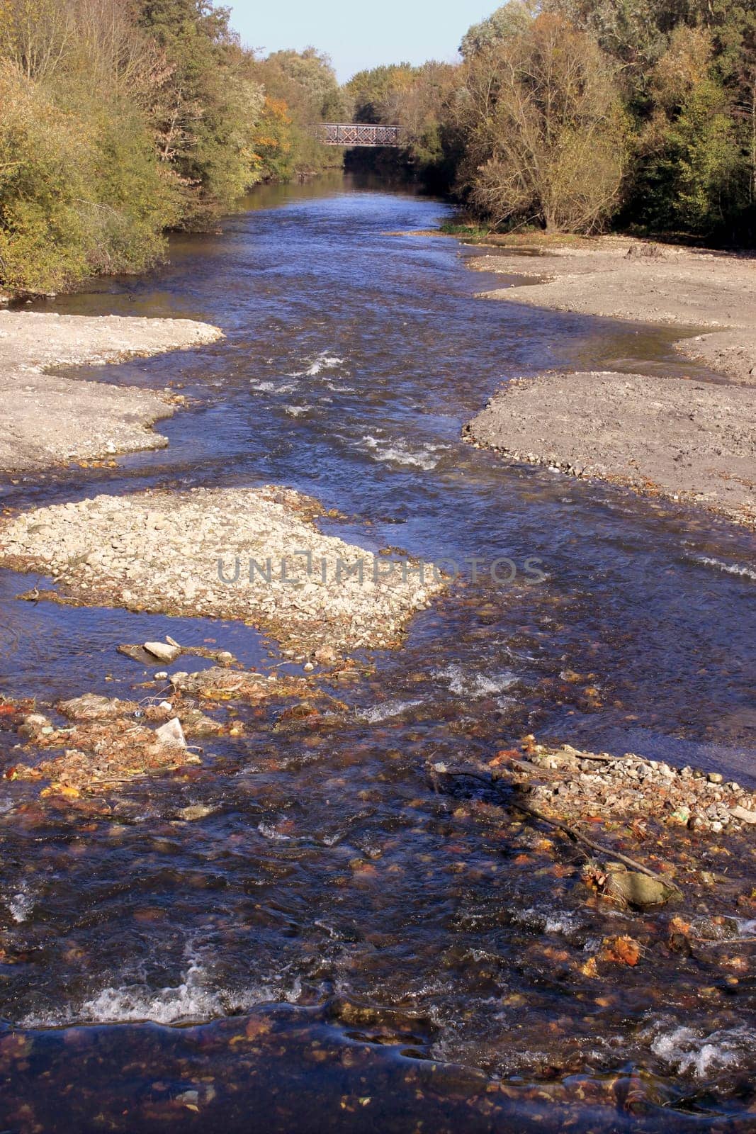 Natural ecological development of the banks of a river, stream or river
