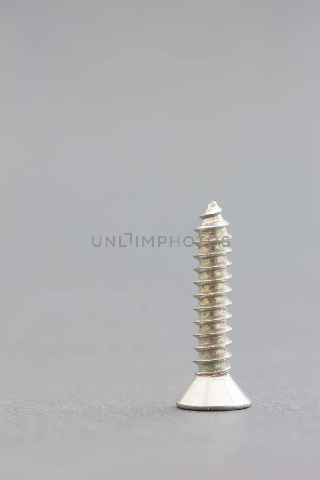 Single screw on gray background