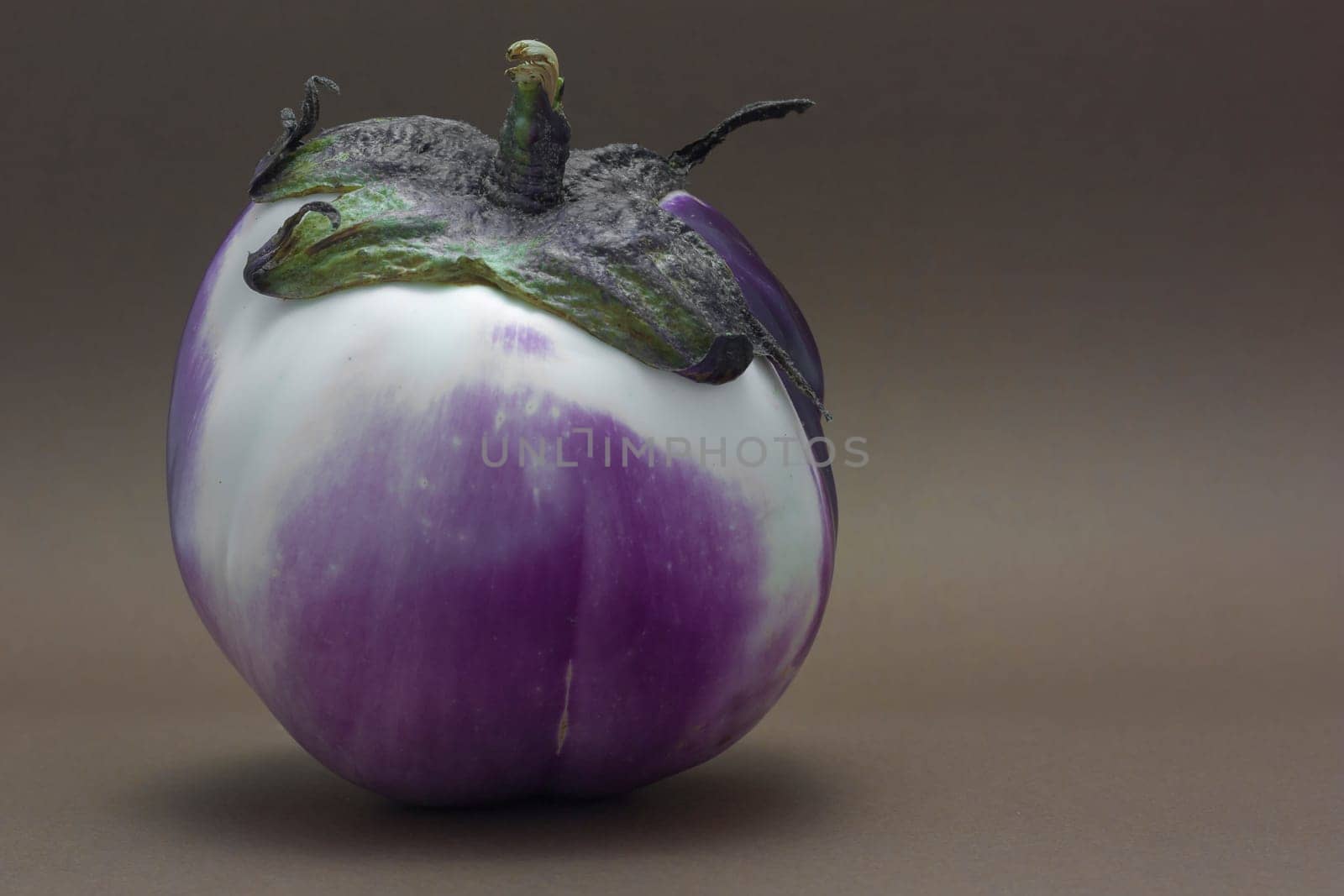 Ripe fresh eggplant isolated on brown background as a concept of healthy nutrition