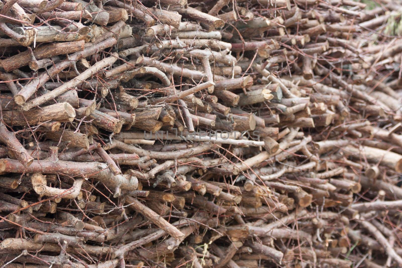 Firewood dry firewood in a pile for furnace kindling