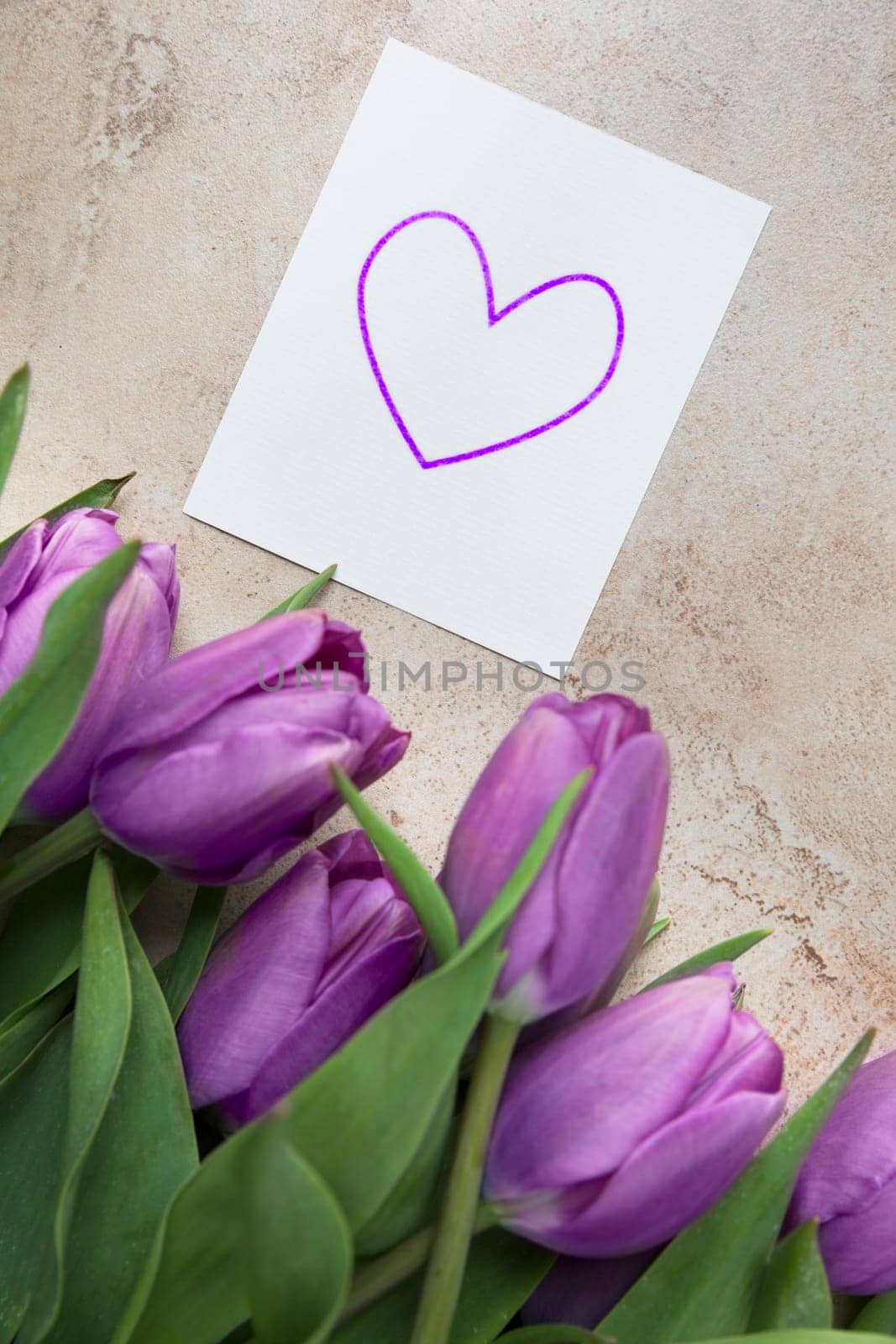 Purple tulips and card with heart shape