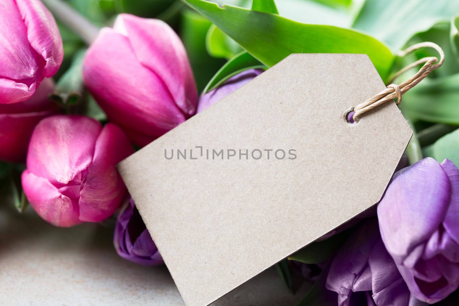 Pink and purple tulips and blank card with copy space for Mother's Day or Easter Greeting.