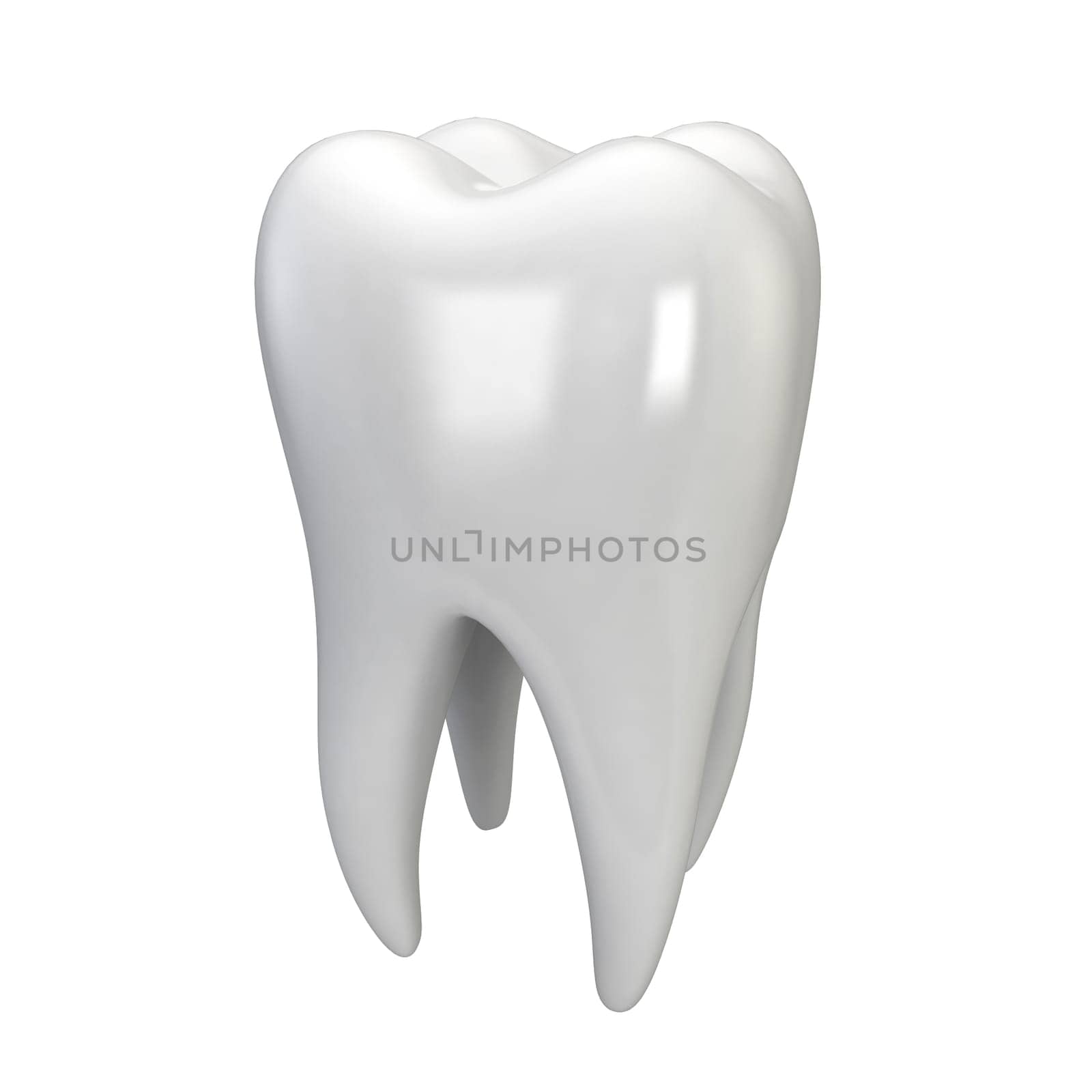 White tooth. 3d illustration isolated on white background