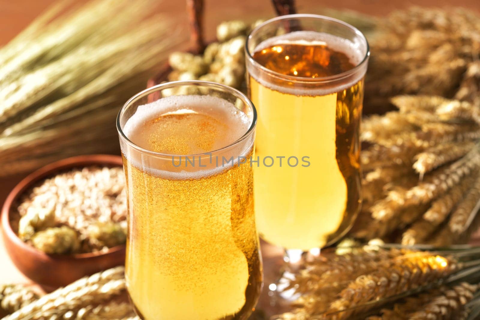 two beer glasses with wheat,barley,hops and malt