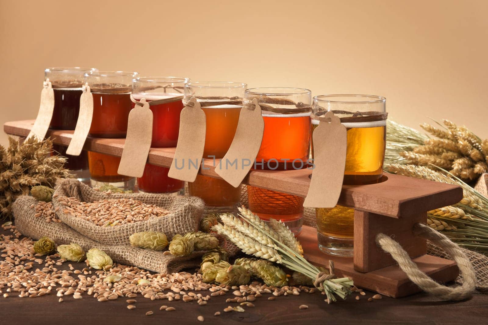Beer carriers with many different beers,wheat,barley,hops and malt