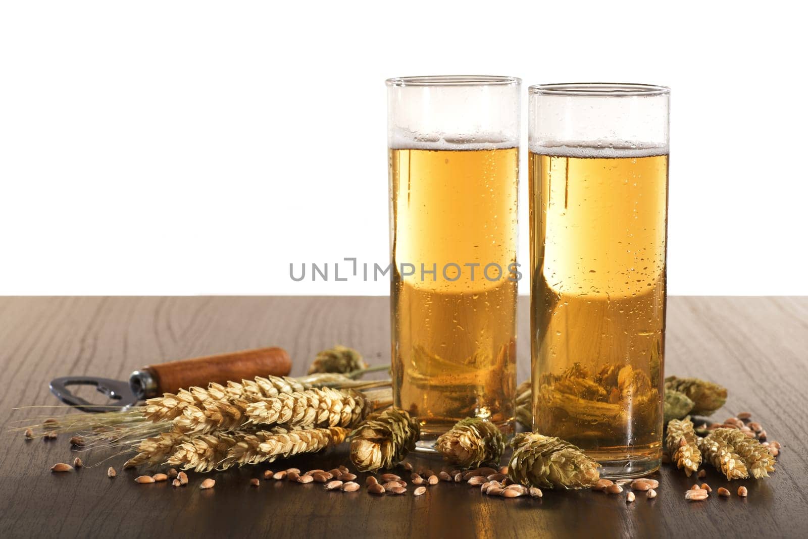 Two Kölschbiergläser with wheat,barley,hops and malt