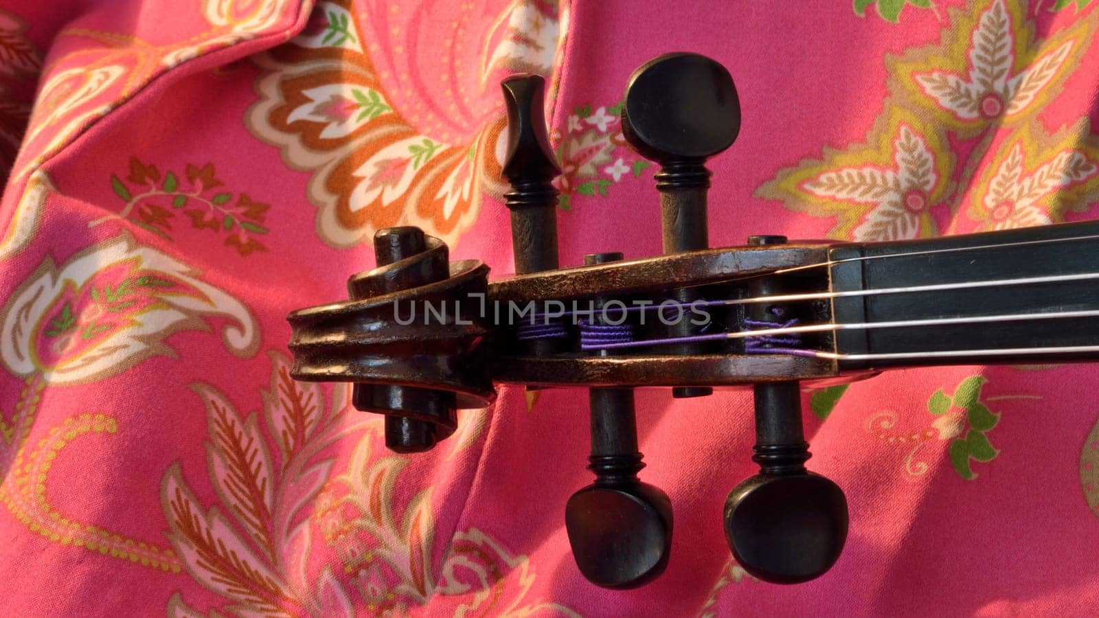 Panorama of an antique violin's scroll and strings against a pink paisley background.Violin is an antique from the early 1800's in a dark stain (original finish).