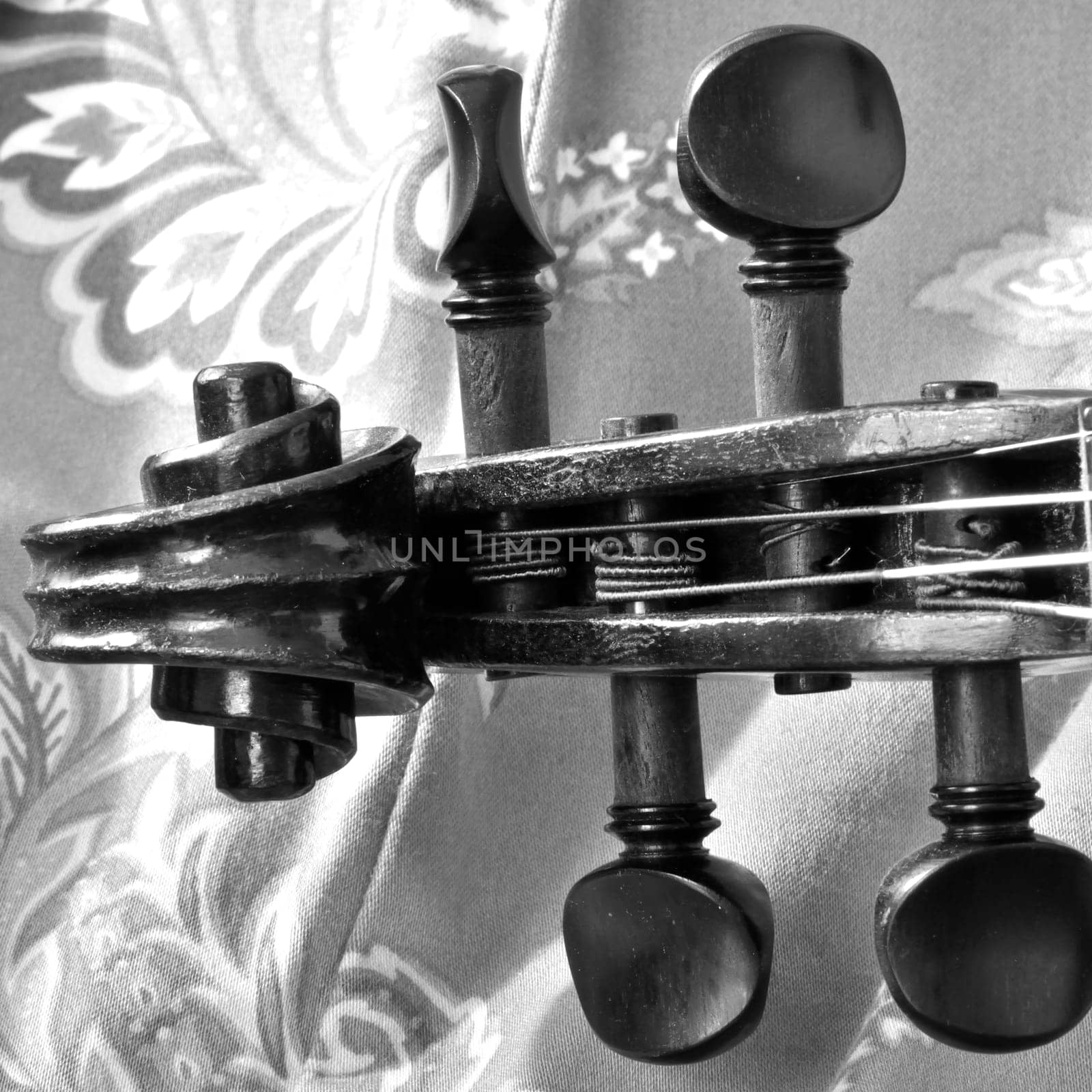 Square black and white shot of antique violin scroll closeup against a patterned background. Violin is an antique from the early 1800's in a dark stain (original finish).