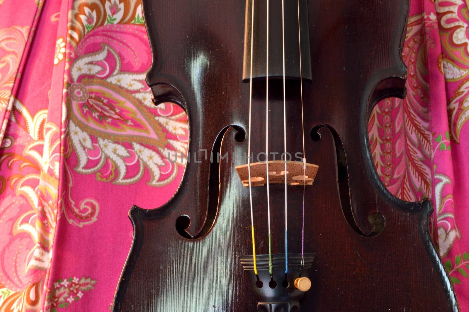 Old violin against bright pink paisley background.Violin is an antique from the early 1800's in a dark stain (original finish).