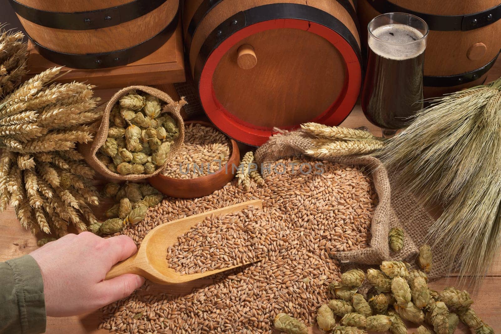 Beer and beer barrels with wheat,barley,hops and malt