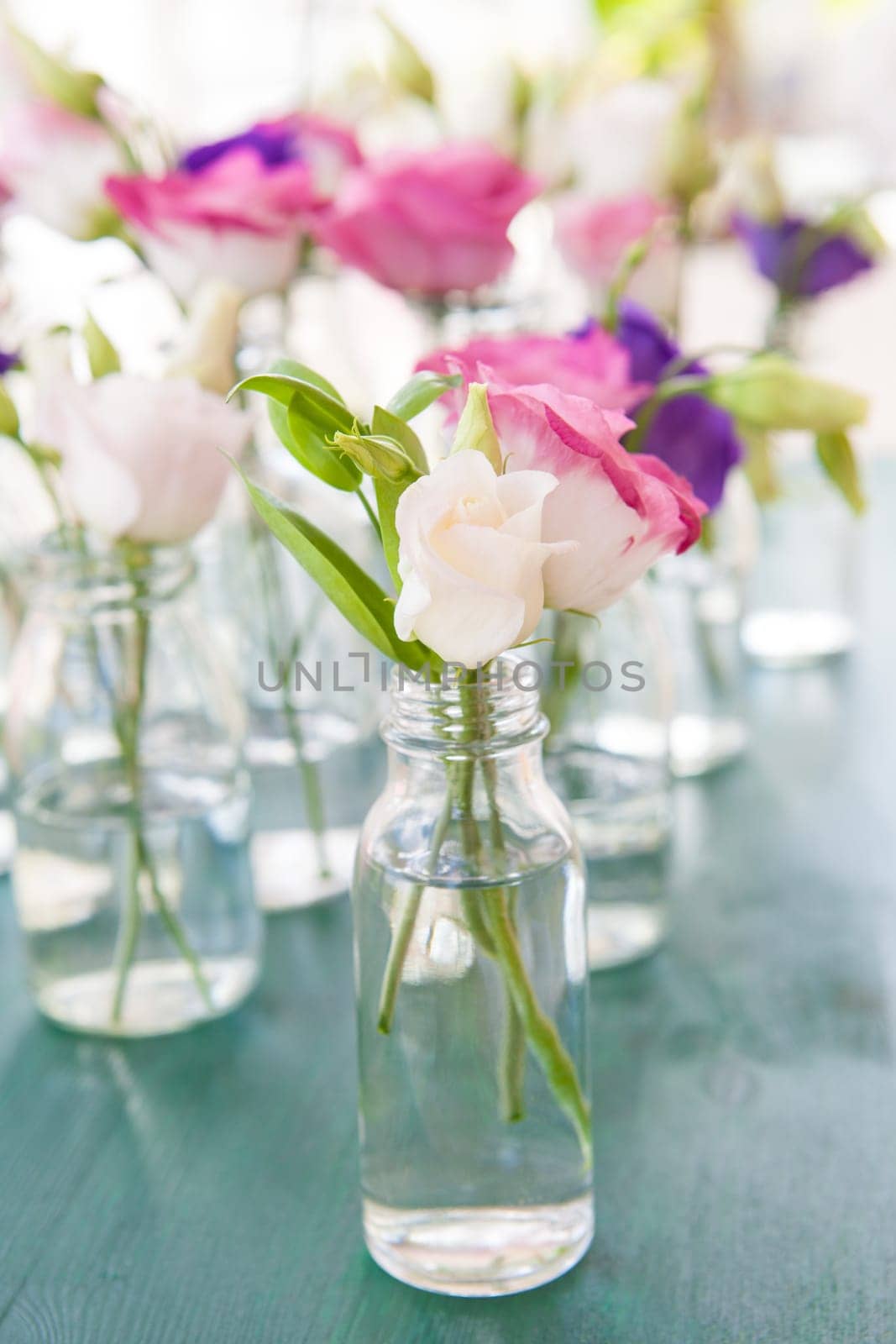 Fresh colorful Japanese roses in small glass bottles