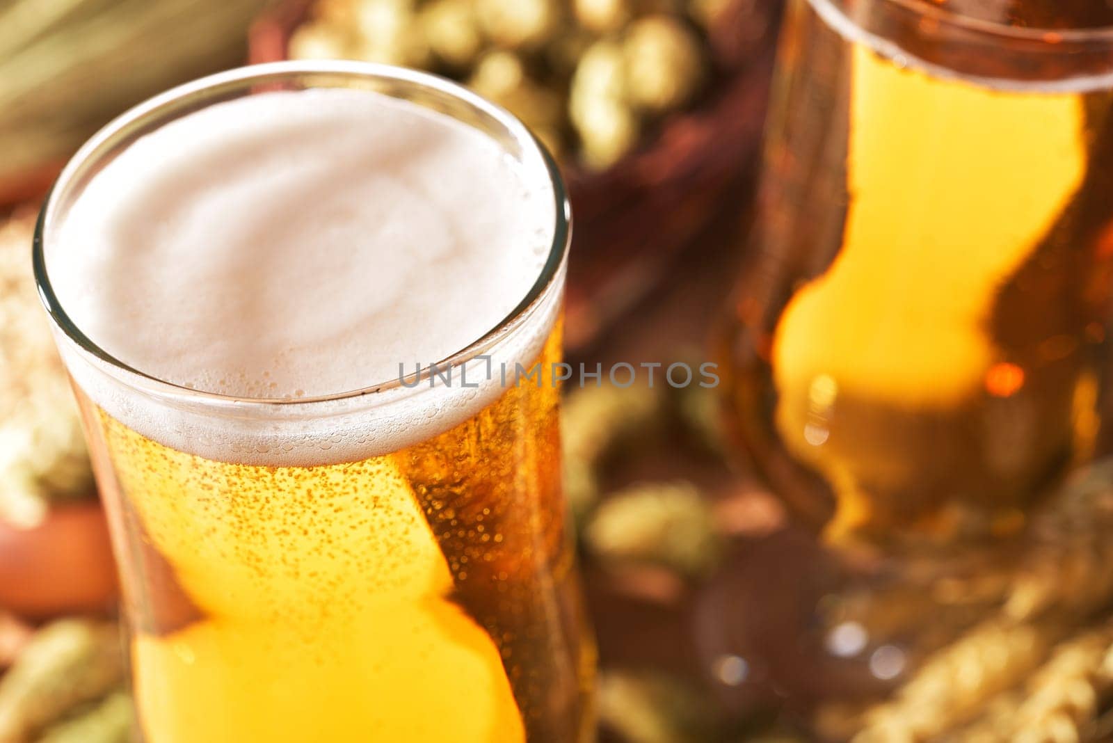 two beer glasses with wheat,barley,hops and malt