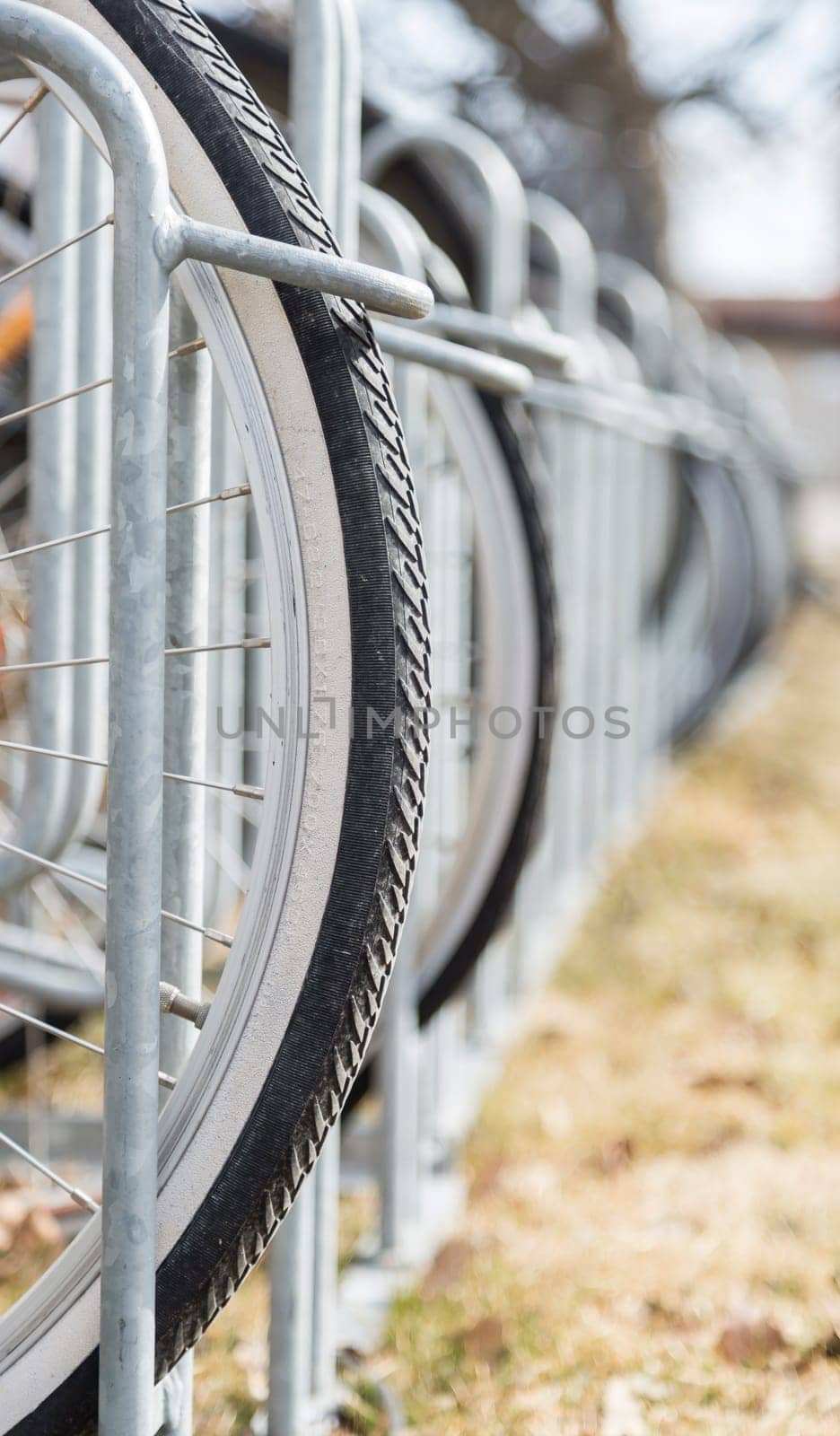 Bicycle in Bicycle Stand close up.