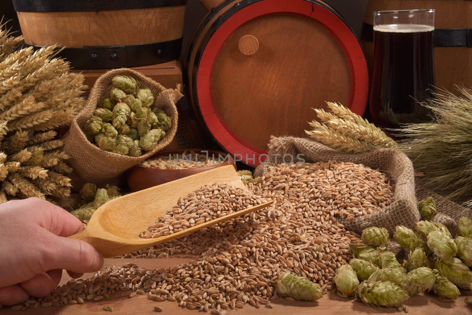 Beer and beer barrels with wheat,barley,hops and malt