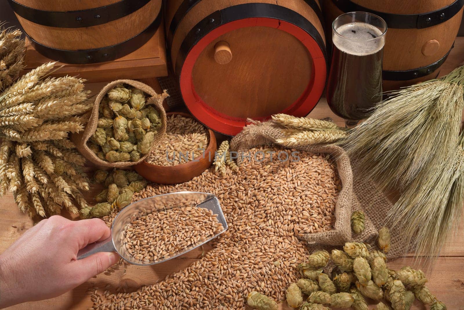 Beer and beer barrels with wheat,barley,hops and malt