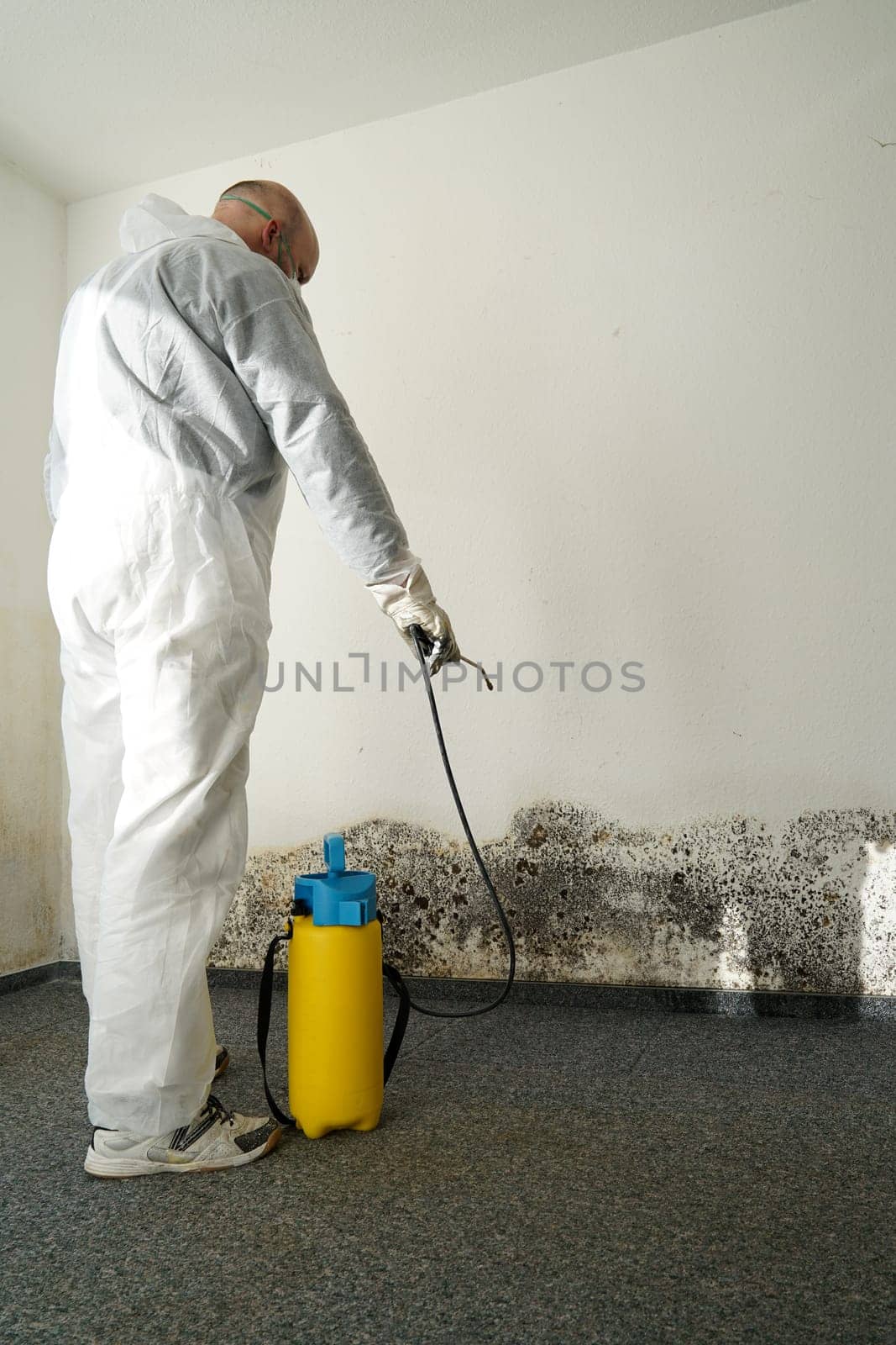 Specialist during the fight against mould in an apartment