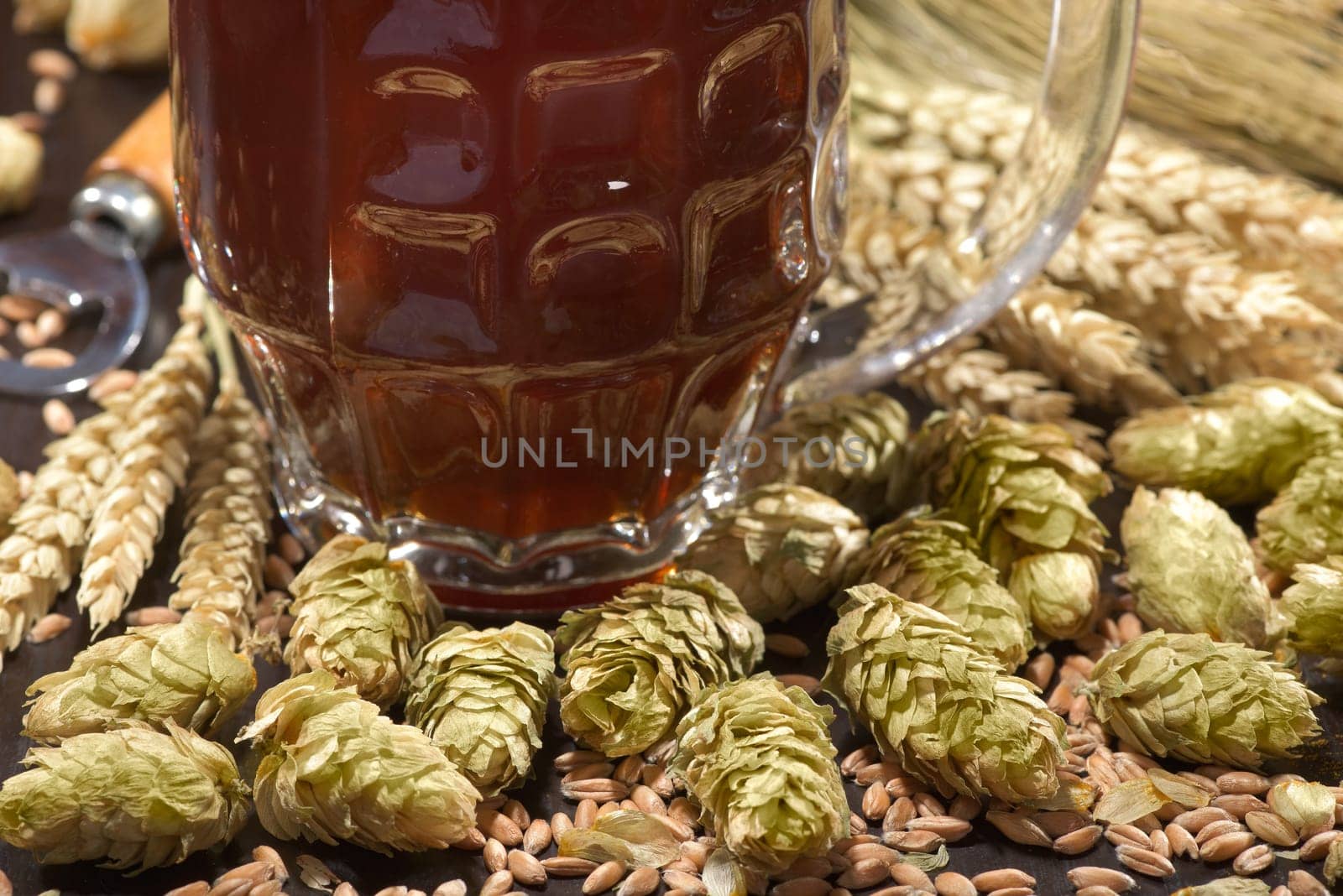 Beer glass with beer barrels,wheat,barley,hops and malt