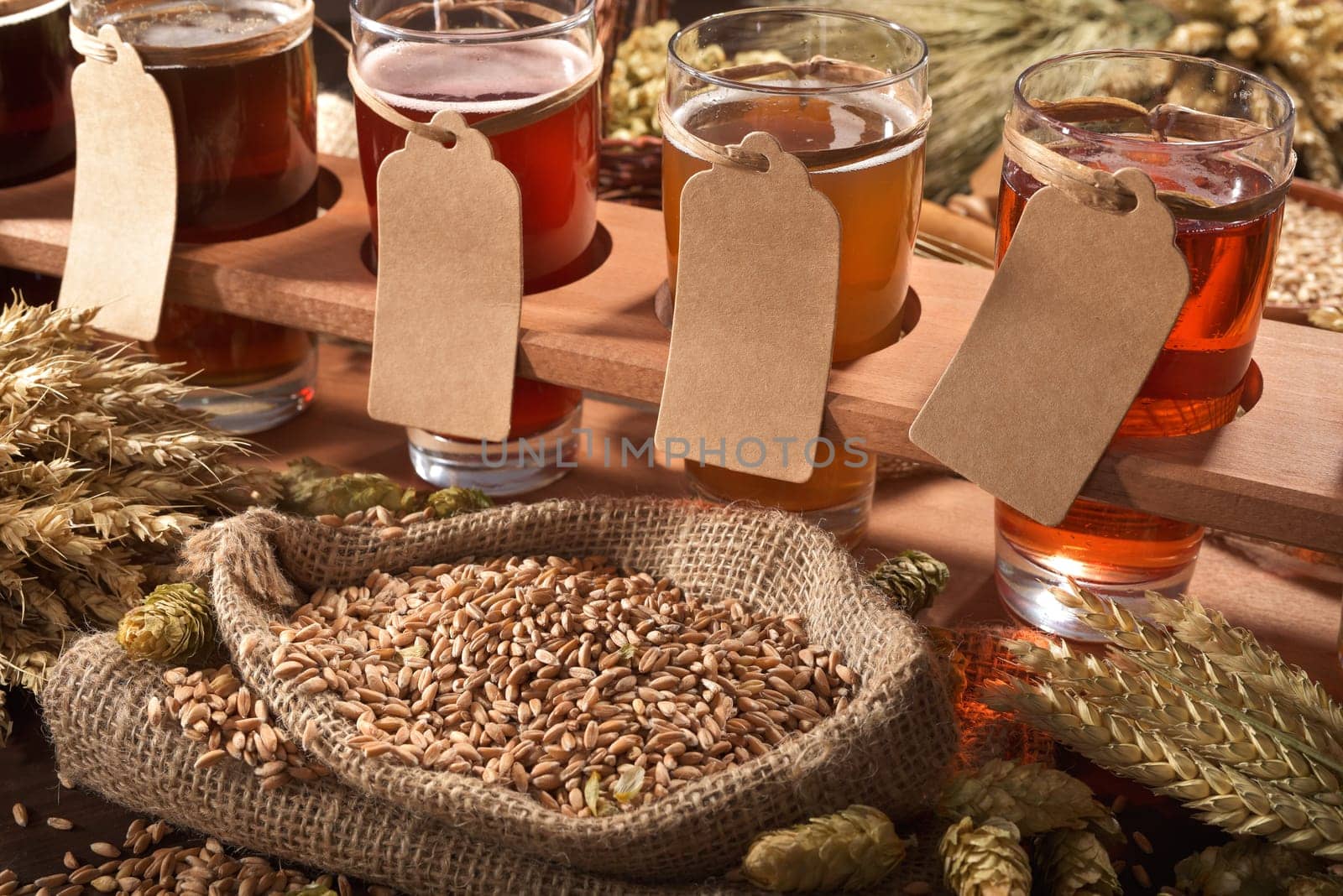 Beer carriers with many different beers,wheat,barley,hops and malt