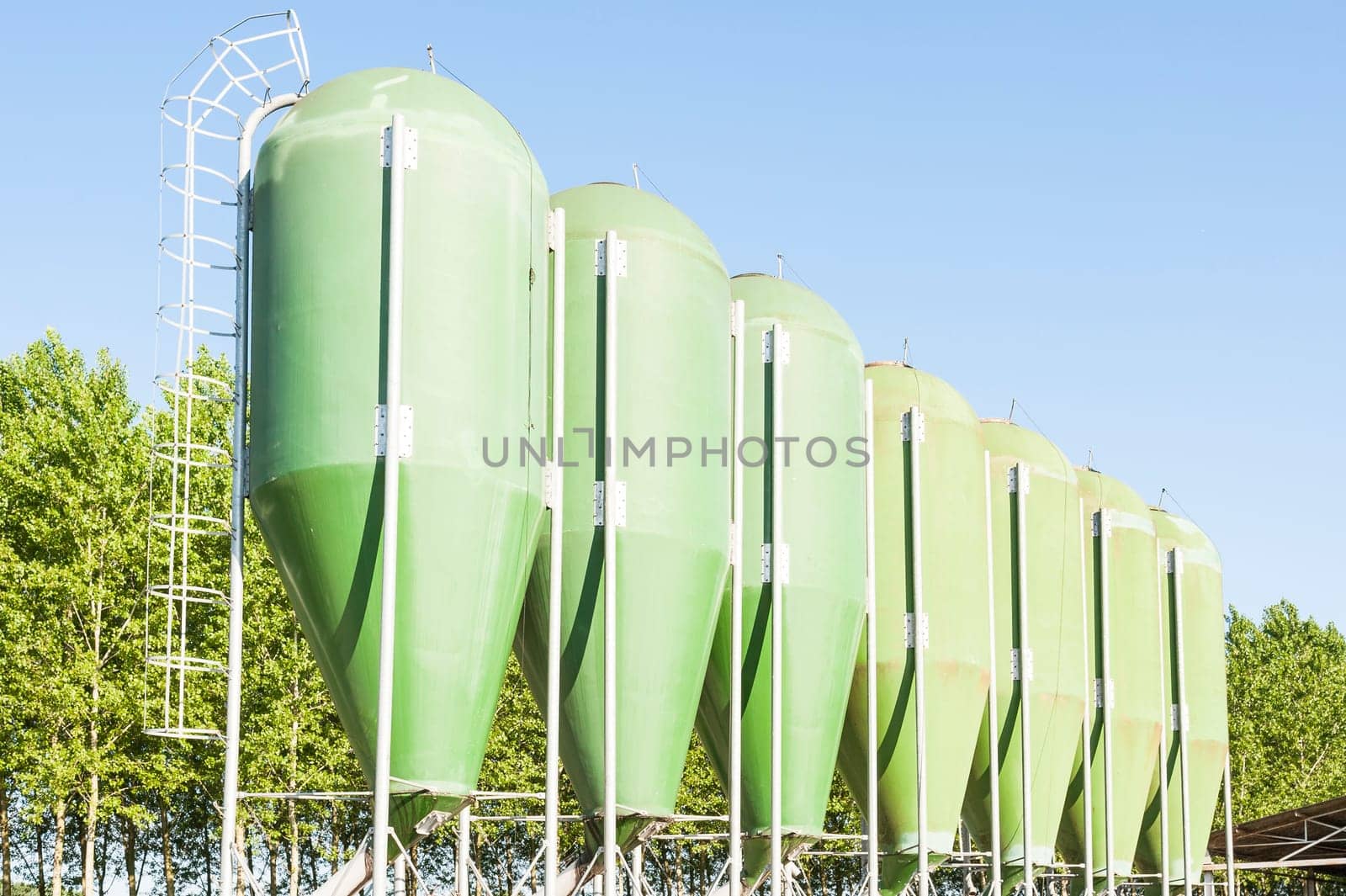 Agricultural green silos. Silos for animal food.