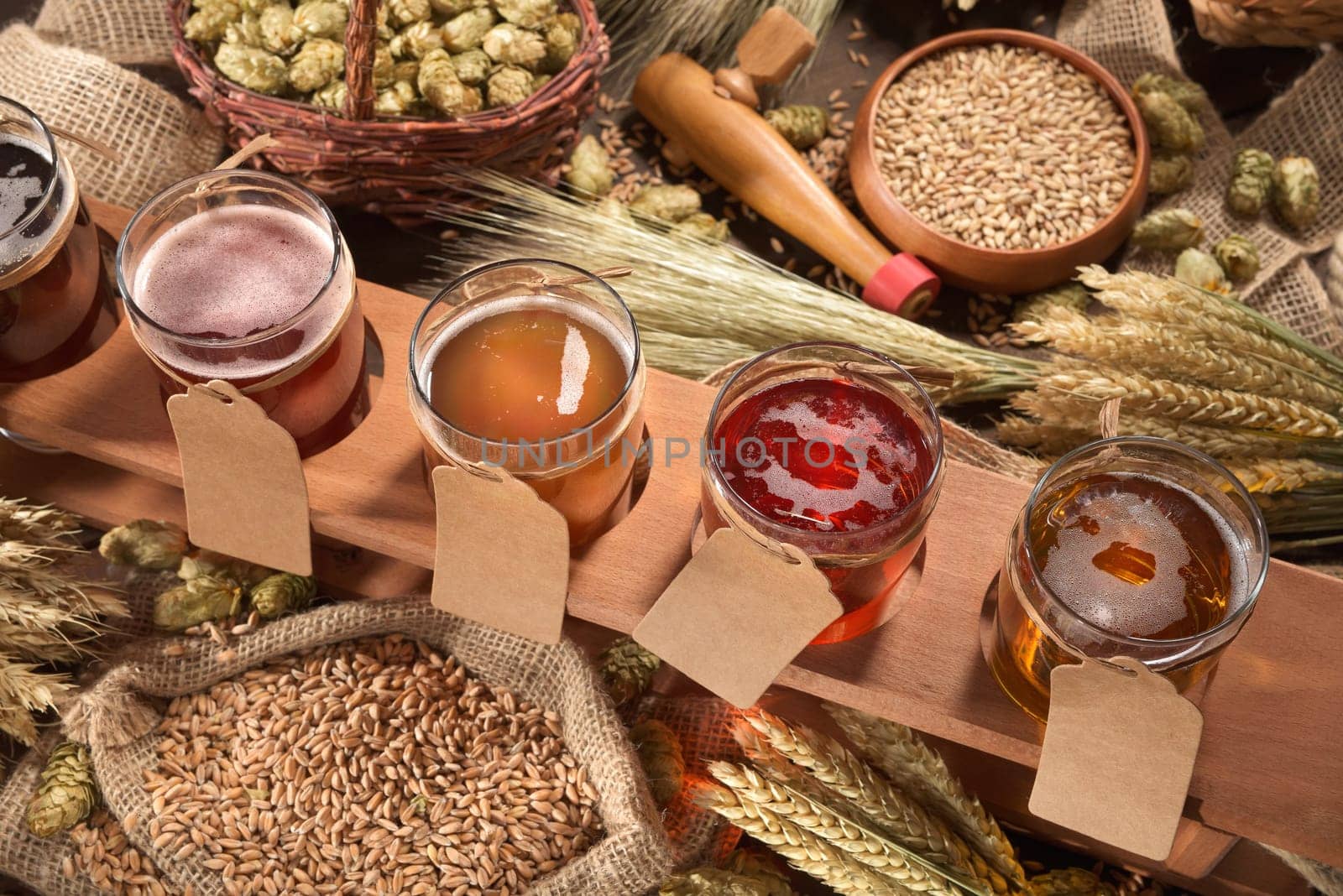 Beer carriers with many different beers,wheat,barley,hops and malt