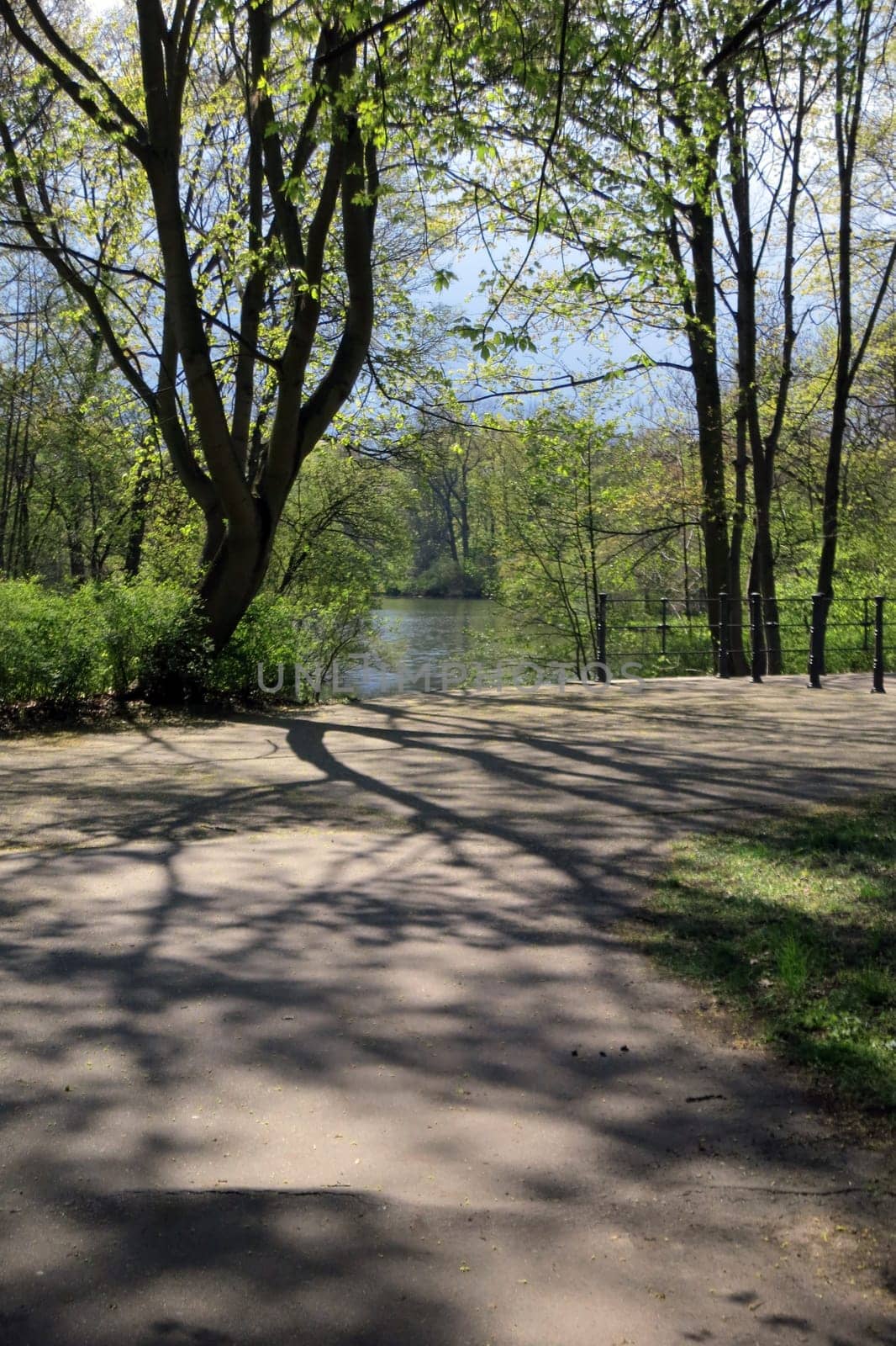 altenpfleger