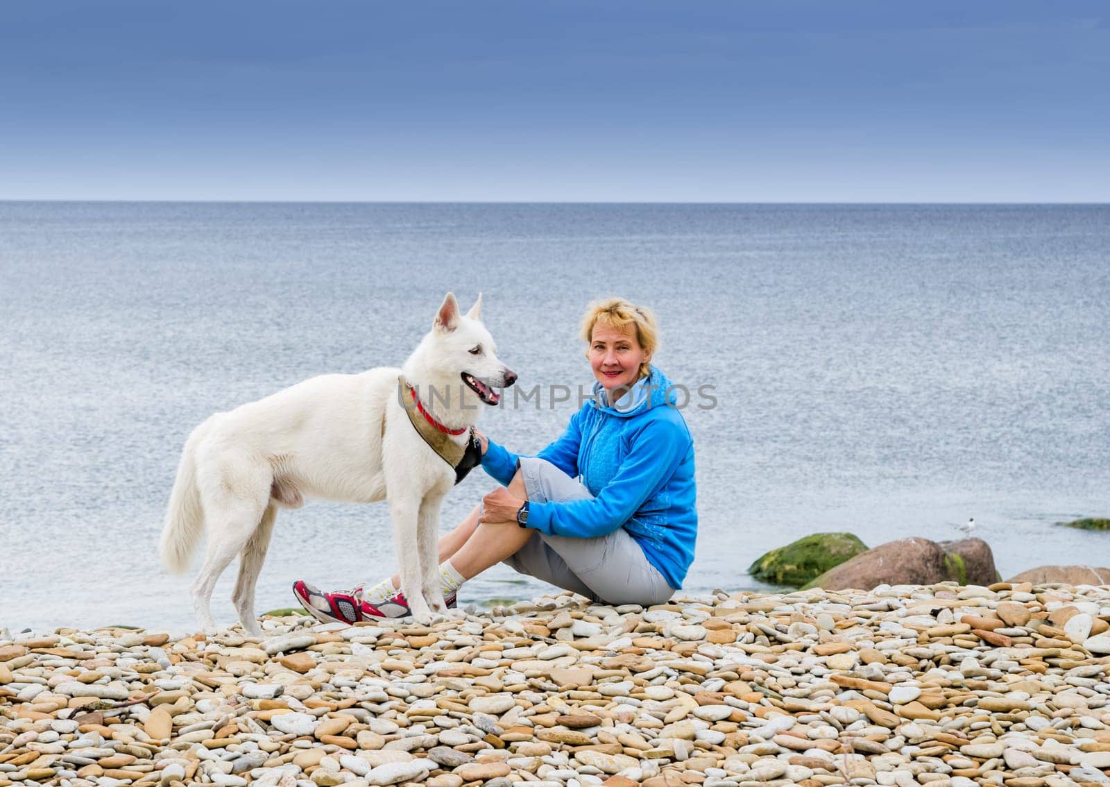 A woman sits with a dog on the beach