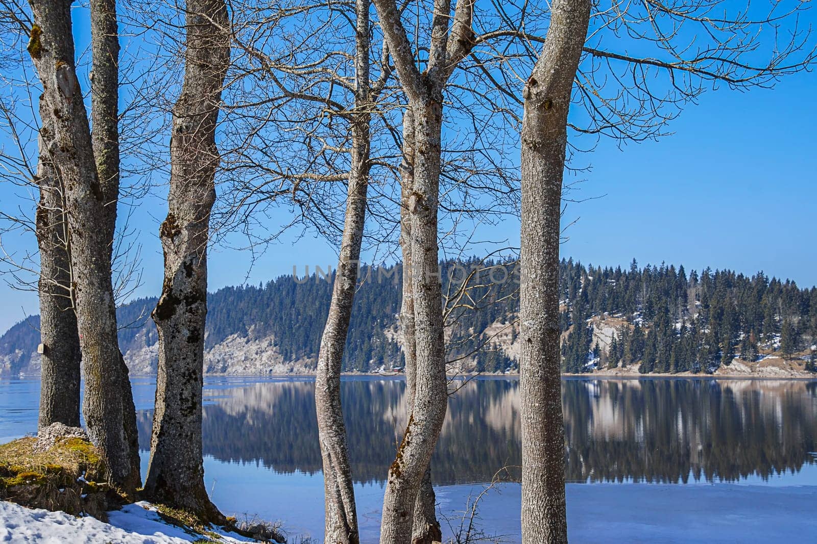 Erlensee