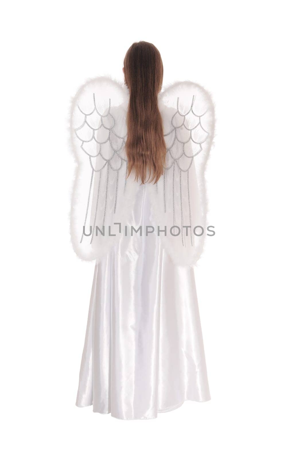 A angel in a long white satain dress with wings and long brown hair.standing from the back isolated for white background..