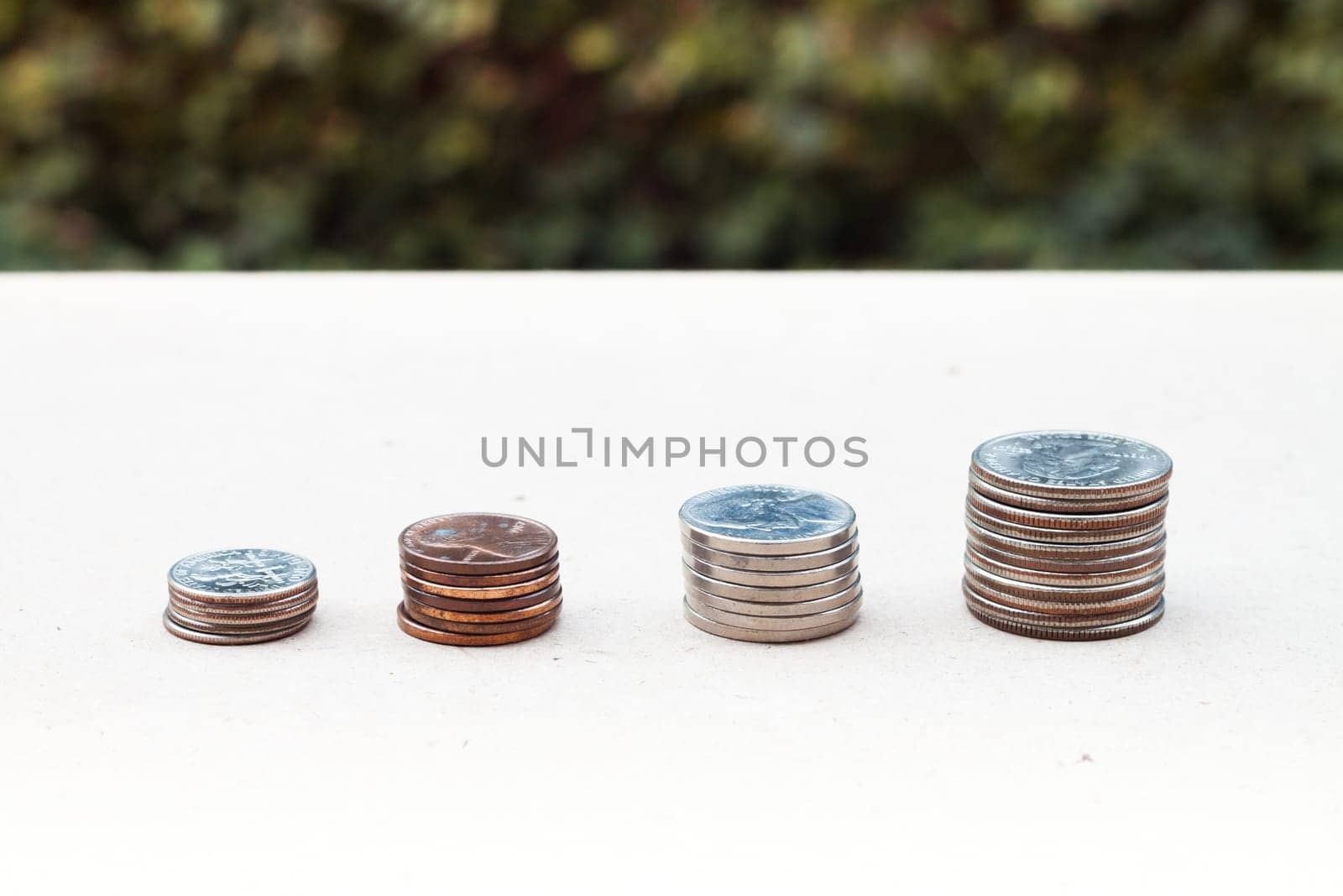 Money coin growing graph with green background, stock photo