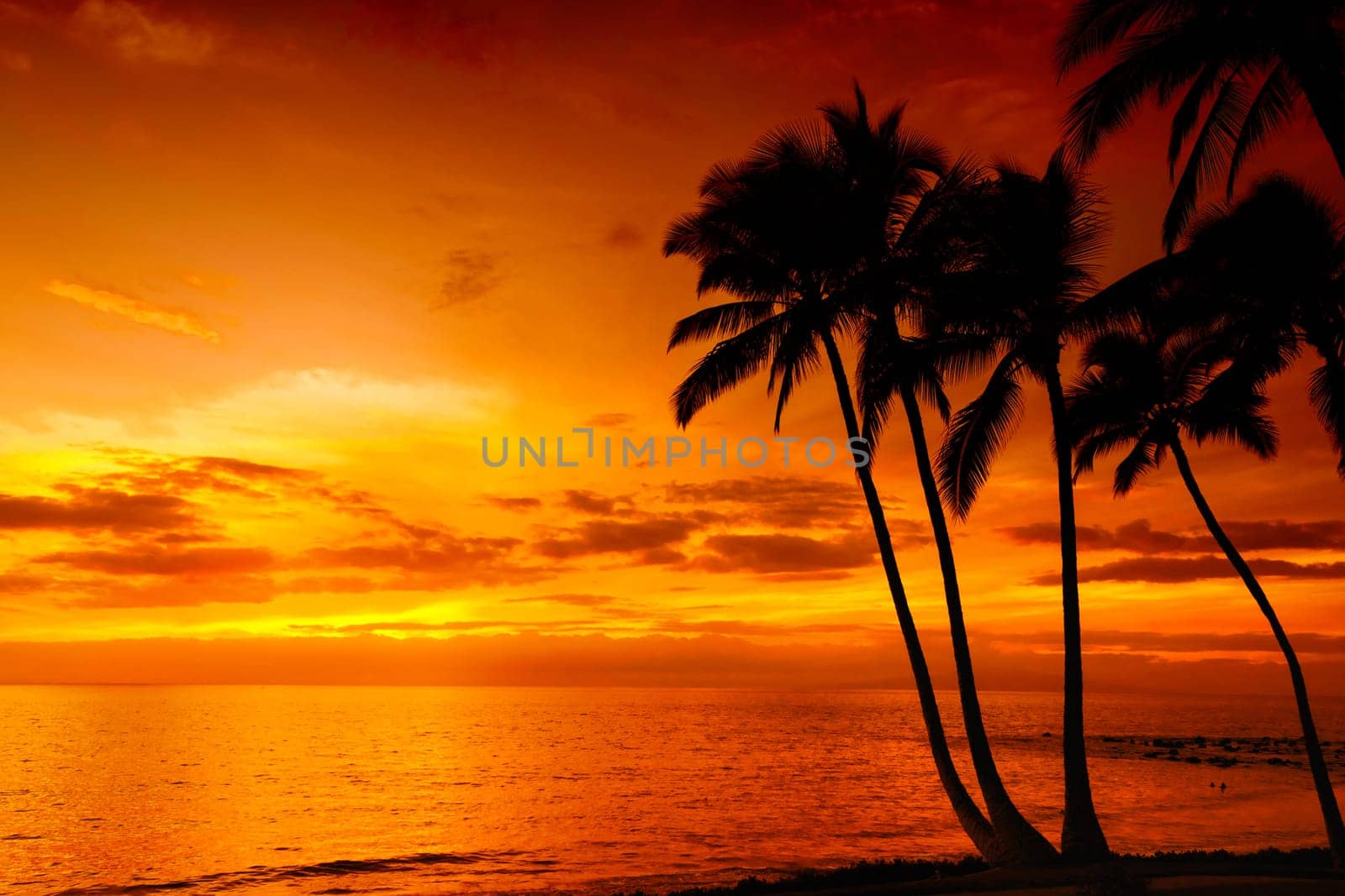 Tropical sunset