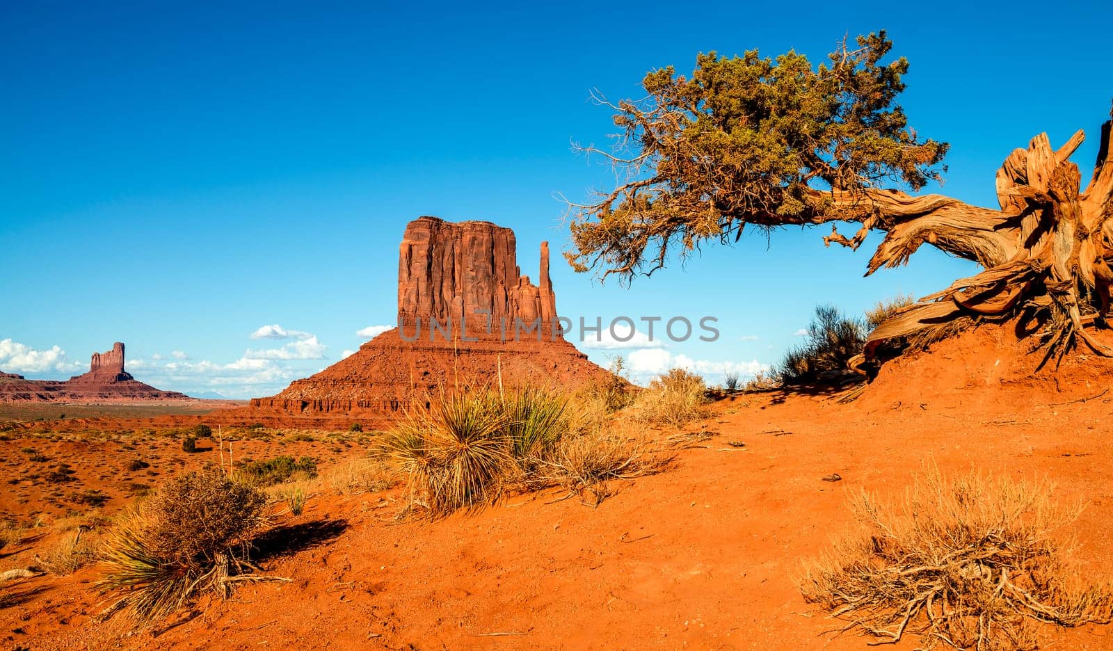 The unique landscape of Monument Valley, Utah, USA.